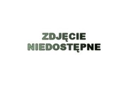 TPIR-98 ET Kuchnia indukcyjna elektryczna
