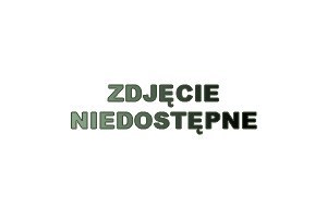TPIR-98 ET Kuchnia indukcyjna elektryczna